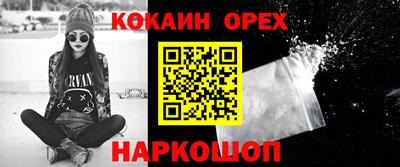 гашик Дубна