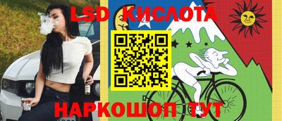 гашик Дубна