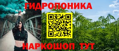 гашик Дубна