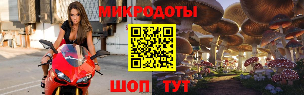 Галлюциногенные грибы Psilocybe Михайловск